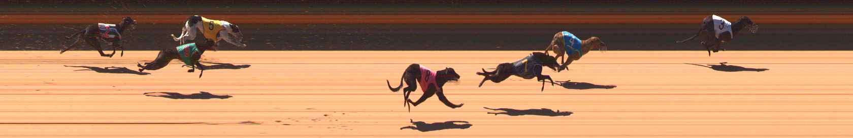 Race result finish photo